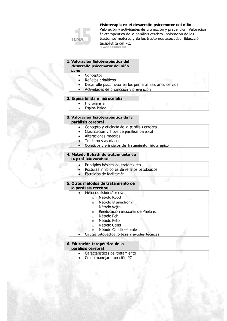 tratamiento fisioterapeutico para espina bifida