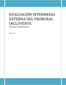 000_eval_nicaragua_desarrollo_prodcutivo_rural_2010-2014_tdr_eval_interm_2012.pdf