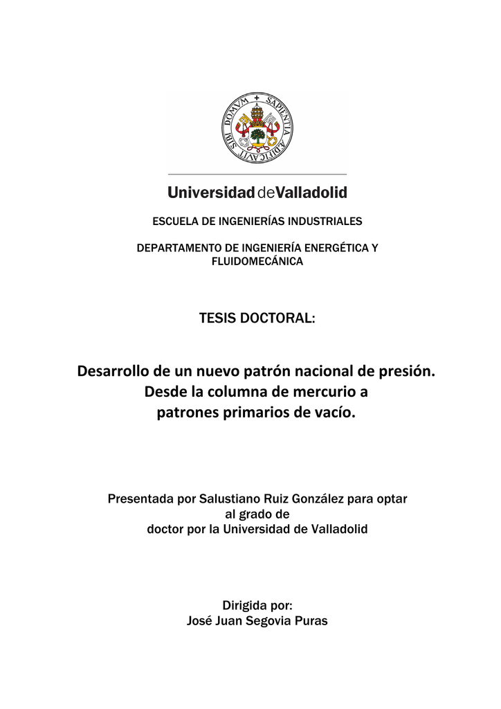 0-1m Measuring Range Sensor de nivel de l/íquido YB-2J-F Transmisor de nivel de l/íquido Tipo de entrada Detector de nivel de agua con sonda de acero inoxidable
