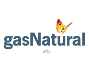 Ponencia Gas Natural