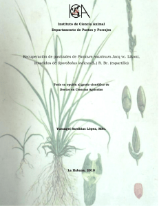 Recuperaci&oacute;n de pastizales de Panicum maximun Jacq vc. Likoni,invadidos de Sporobolus indicus (L.) R. Br. (espartillo)