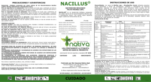 NACILLUS