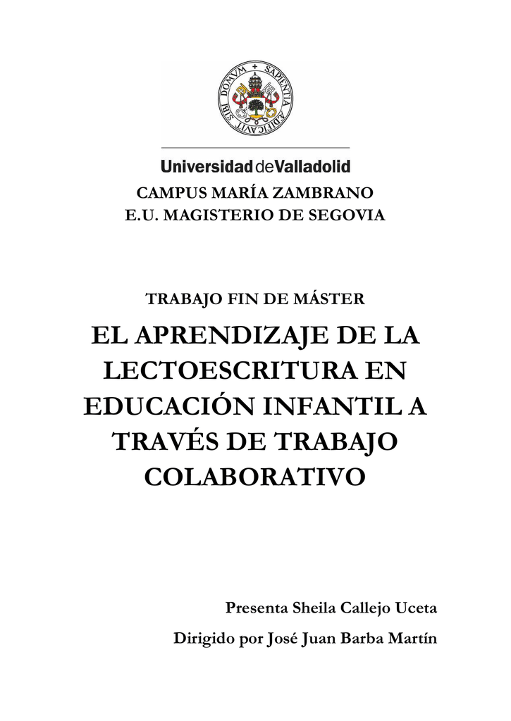 TFM B 88 pdf