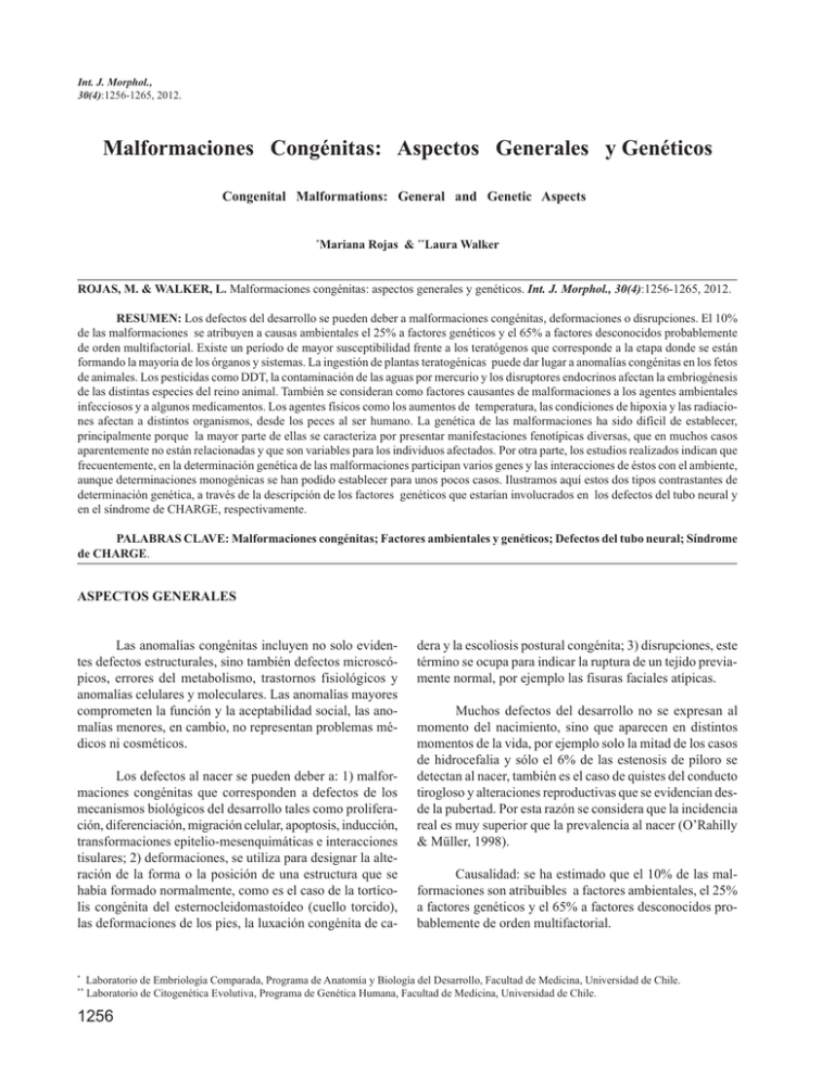 Malformaciones