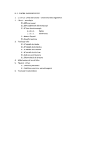 III. 2. Index d'aprenentage.pdf