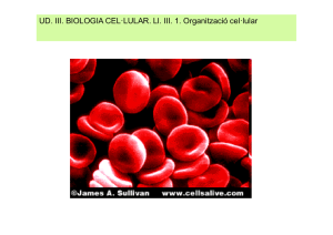 III. 2. Organització cel·lular [Modo de compatibilidad].pdf