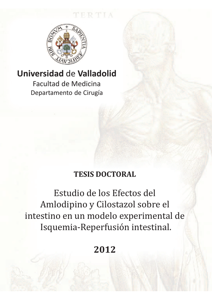 136/82 presión sanguínea embarazada 136/82 presión sanguínea embarazada