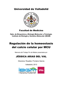 TFM13-Arias del Val Jessica.pdf