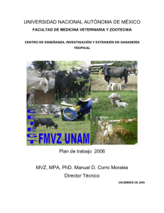 UNIVERSIDAD NACIONAL AUTÓNOMA DE MÉXICO Plan de trabajo  2006 Director Técnico