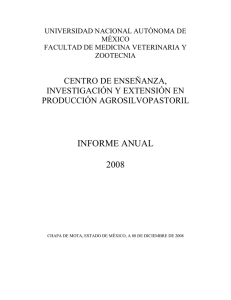 Informe de Labores 2008