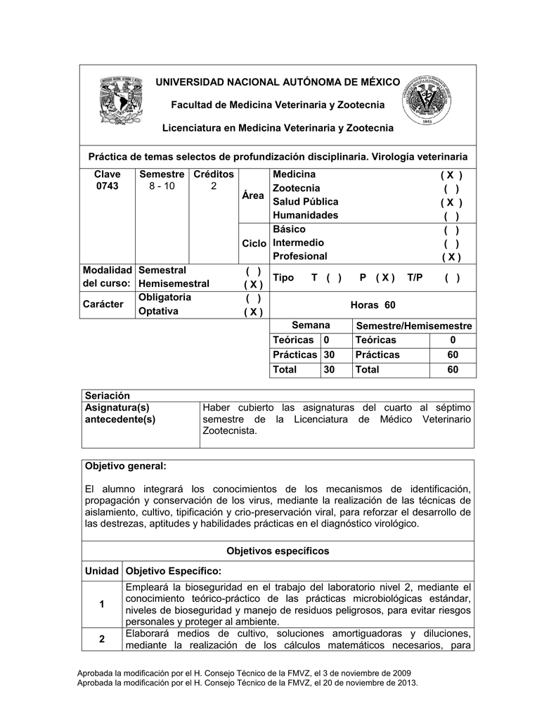Profundización en las técnicas del cálculo