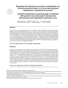 Expresión de citocinas en cerdos co-infectados con respiratorio y reproductivo porcino