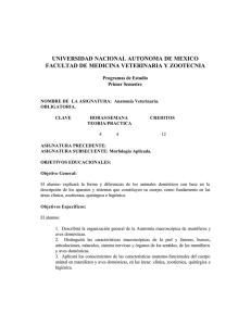 Anatomía Veterinaria.pdf