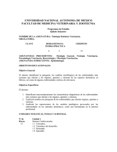 Patología Sistémica Veterinaria.pdf