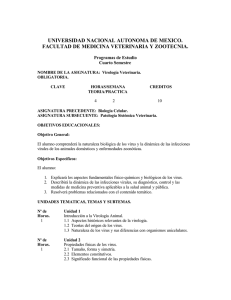 Virología Veterinaria.pdf