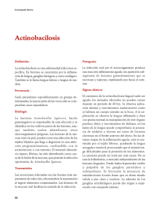 04Actinobacilosis.pdf