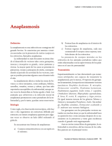 04Anaplasmosis.pdf