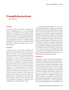 04Campilobacteriasis.pdf