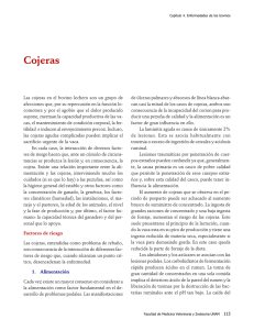 04Cojeras.pdf