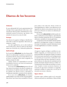 04DiarreaBecerros.pdf