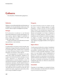 04Gabarro.pdf