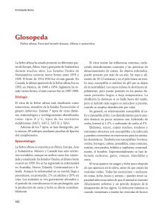 04Glosopeda.pdf