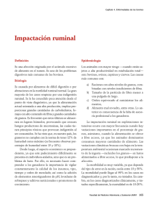04ImpactacionRuminal.pdf