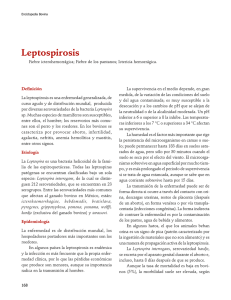 04Leptospirosis.pdf