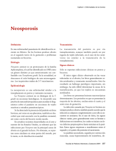 04Neosporosis.pdf