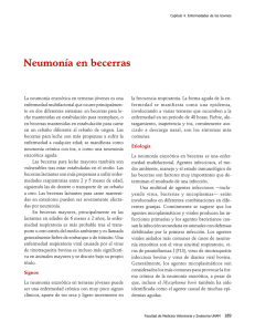 04NeumoniaBecerras.pdf
