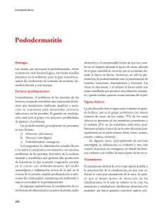04Pododermatitis.pdf