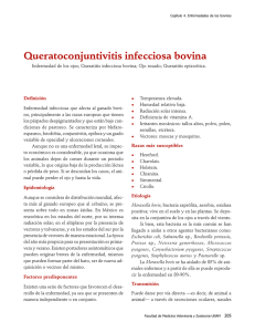 04Queratoconjuntivitis.pdf