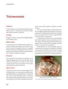 04Tricomoniasis.pdf
