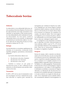 04Tuberculosis.pdf