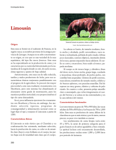 09Limousin.pdf