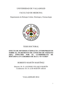 TESIS605-141209.pdf