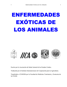 Exoticas.pdf