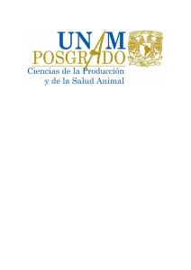 Reglamento_Becas_Pos_2.pdf