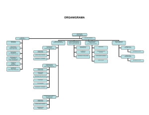 ORGANIGRAMA