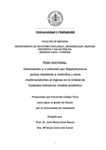 Tesis F Callejo.pdf