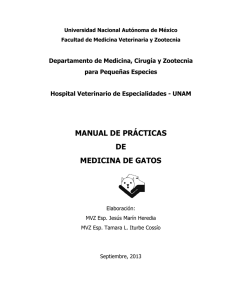 Manual de Prácticas de Gatos