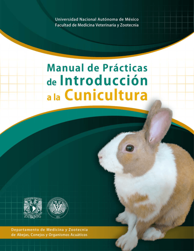 Manual De Prácticas De Introducción A La Cunicultura