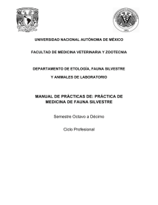 Manual de Prácticas de Medicina de Fauna Silvestre