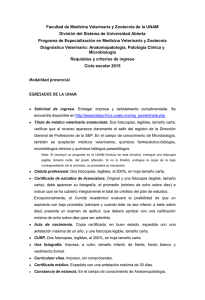 Diagnostico_Extranjeros.pdf