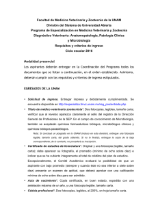 Diagnostico_UNAM_off.pdf
