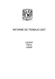 INFORME CEIEPP 2007.pdf