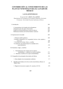 CVv1c11.PDF