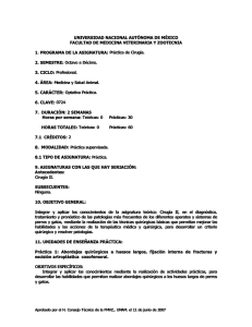 PRACTICA_DE_CIRUGIA.pdf