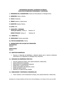 PRACTICA_DE_PROFUNDIZACION_EN_PATOLOGIA_CLINICA.pdf