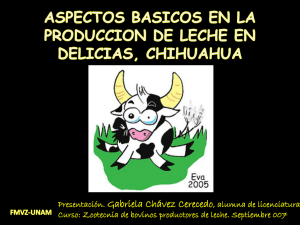 Aspectos b sicos de la producci n de leche en Delicias Chihuahua